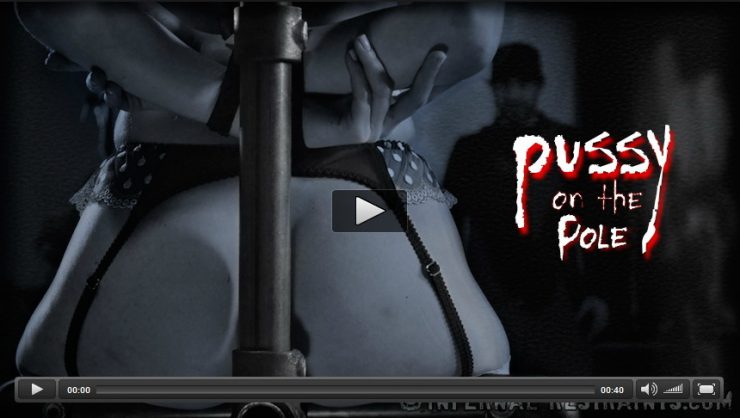 Dec 27, 2013: Pussy On The Pole | Veruca James