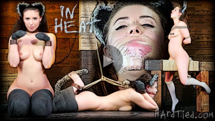 Feb 5, 2014: In Heat | Casey Calvert | Cyd Black