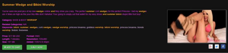 PRINCESS BREANNA’S STORE FOR LOSERS: Summer Wedge and Bikini Worship!!