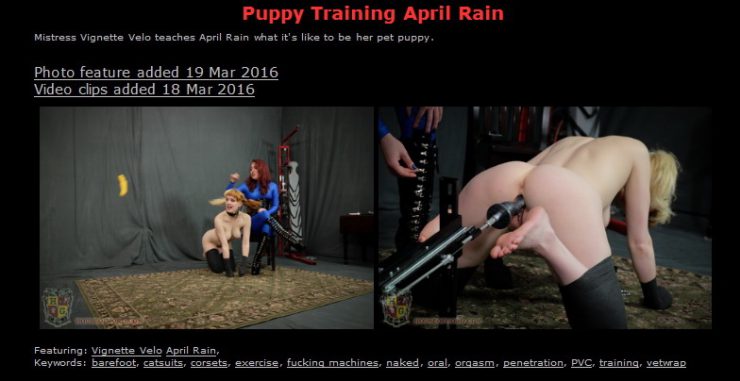 Pet Training Bdsm