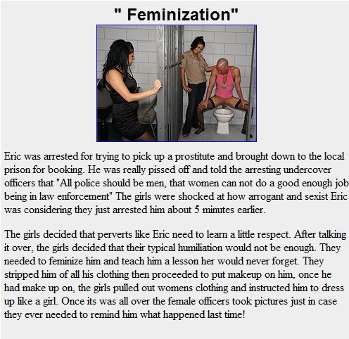 cfnmplus: Feminization
