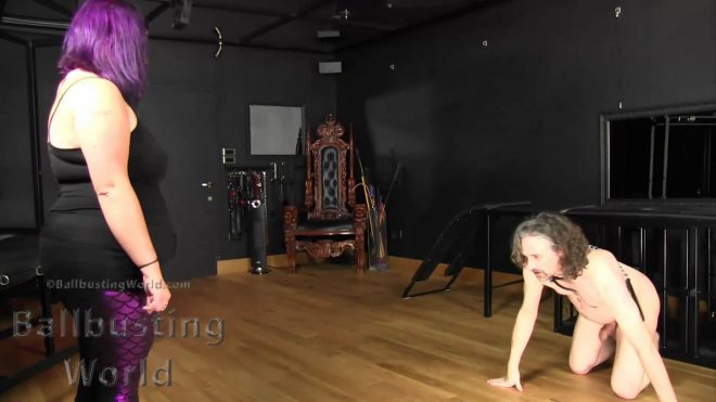 Ballbusting World Cindy, Nikki Whiplash:Brutal Ballbusting Practice