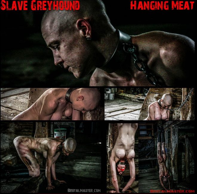 Brutal Master Hanging Meat: Slave Greyhound