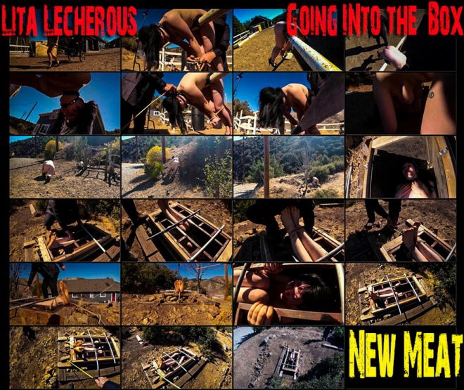 Brutal Master LIta Lecherous:  New Meat – Going Into The Box