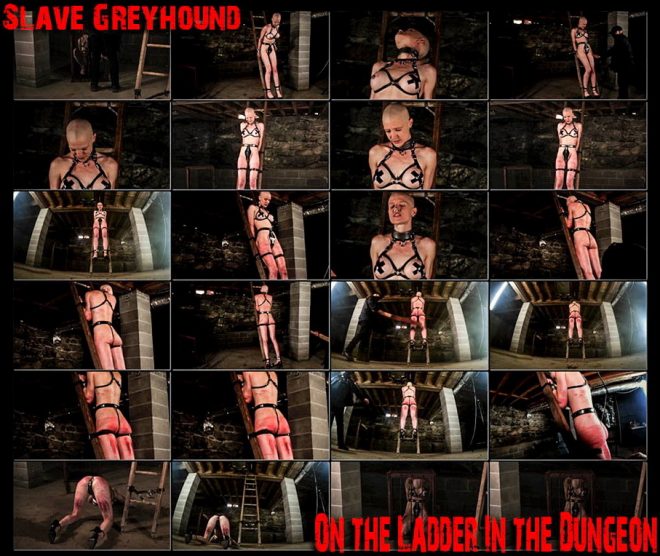 Brutal Master: Greyhound – On The Ladder In The Dungeon