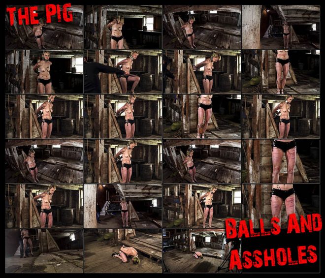 BrutalMaster: The Pig – Balls And Assholes (Release date Jan 16, 2020)