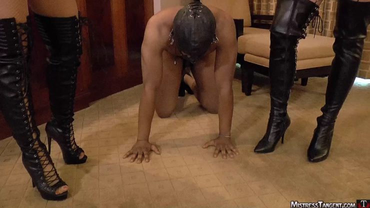 Mistress Tangent: Boot Ball Bust