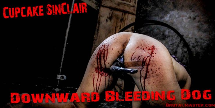 Brutal Master: Cupcake Sinclair – Downward Bleeding Canine