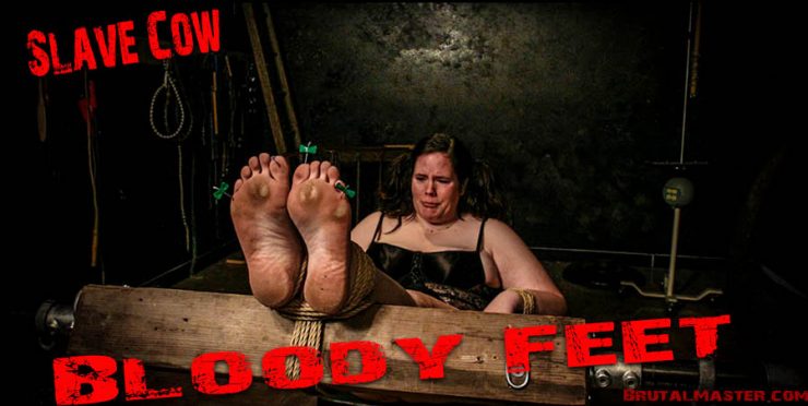 Bloody Foot Porn - Real Hardcore BDSM Porn