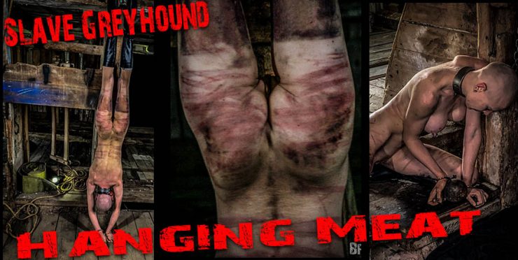 Brutal Master: Greyhound – Hanging Meat