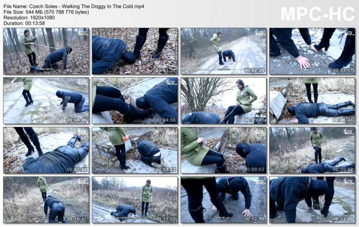 Czech Soles: Walking The Doggy In The Cold