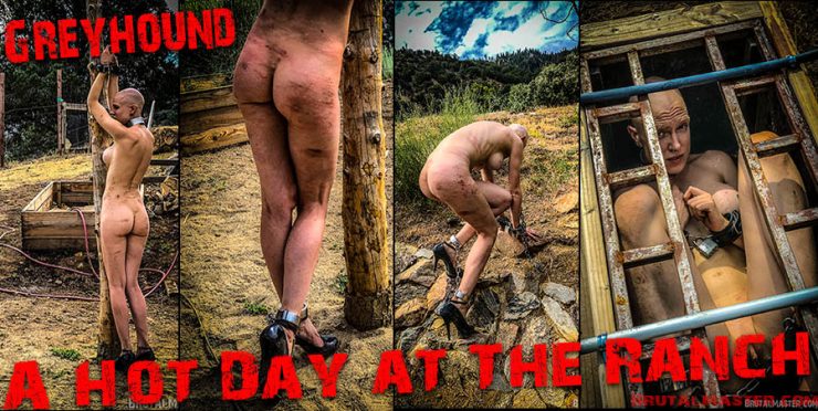 Brutal Master: Greyhound – A Sexy Day In The Ranch