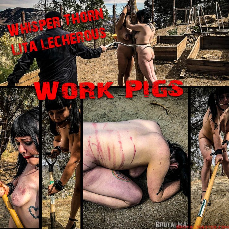 Brutal Master: Whisper and Liga as Work Pigs (Release date: May 11, 2020)