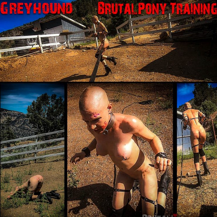 Brutal Master: Greyhound’s Brutal Pony Training (Release date: May21, 2020)