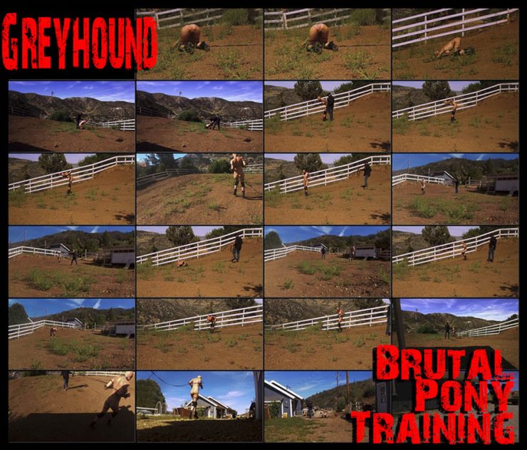 Brutal Master: Greyhound’s Brutal Pony Training (Release date: May21, 2020)