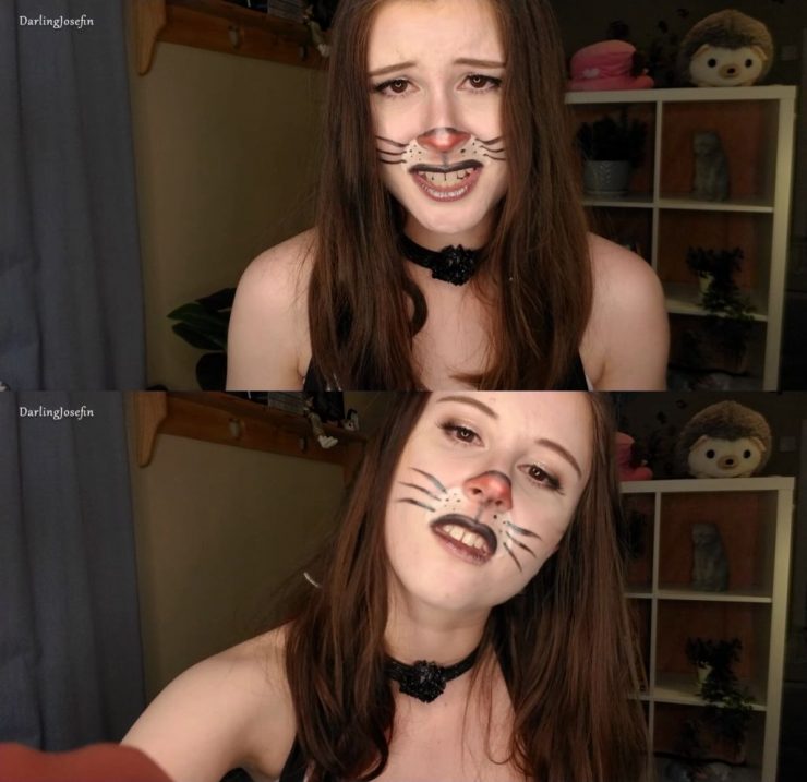 Darling Josefin: Cute Bunny Dresses you Up, Too – Cosplay