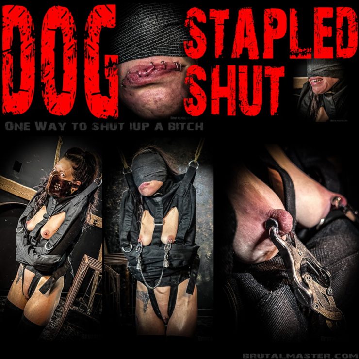 Masters Fucking Dog Porn Captions - Real Hardcore BDSM Porn