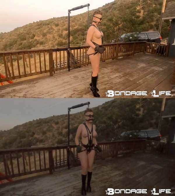 Bondage Life: Parked Ponygirl 07.26.23