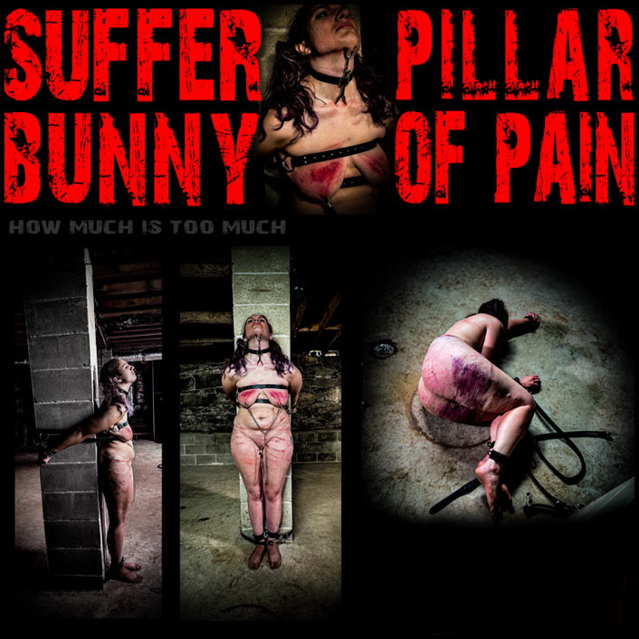 Brutal Master: Suffer Bunny Pillar of Pain