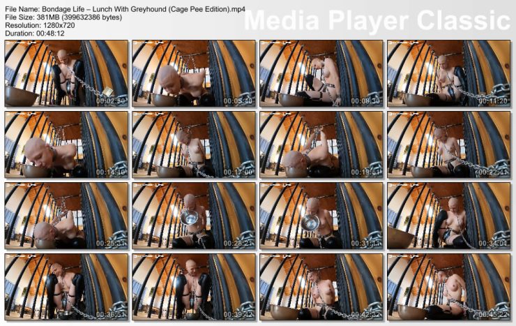 Bondage Life:  Rachel Greyhound – Lunch With Greyhound (Cage Pee Edition)