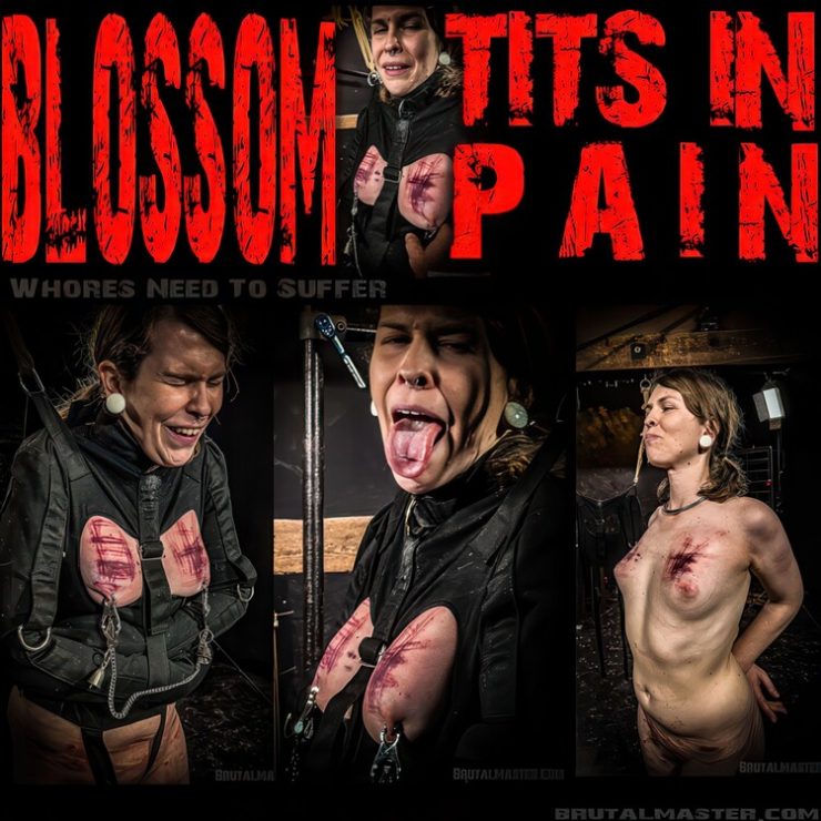 Brutal Master: Blossom Tits In Pain