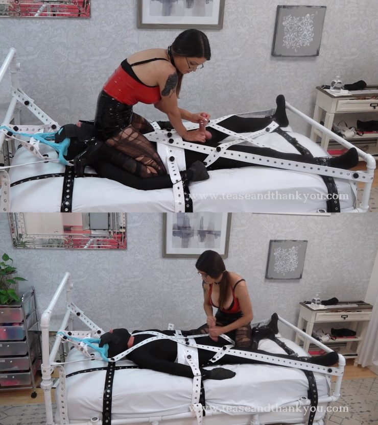 Tease and Thanks You: Endless Orgasms – Kat Turner