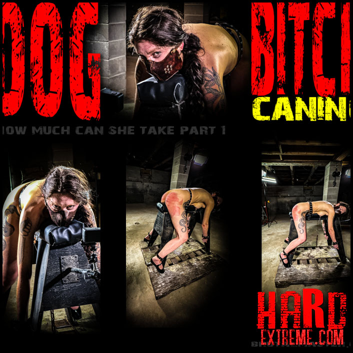 Brutal Master: Dog – Bitch Caning