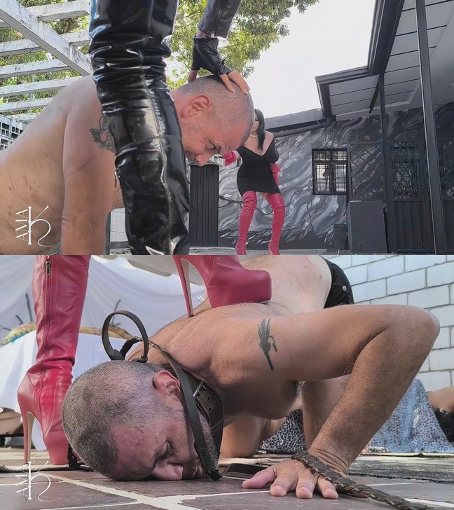 Latin Beauties in High Heels: KFAE Captured and Presented before the Cruel Queen by Ama K and Karina Blody