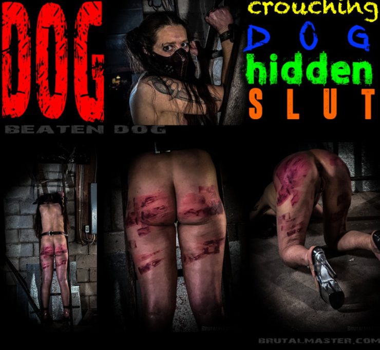 Brutal Master: Dog – Crouching Dog Hidden Slut  (Release date: Jul 17, 2025)