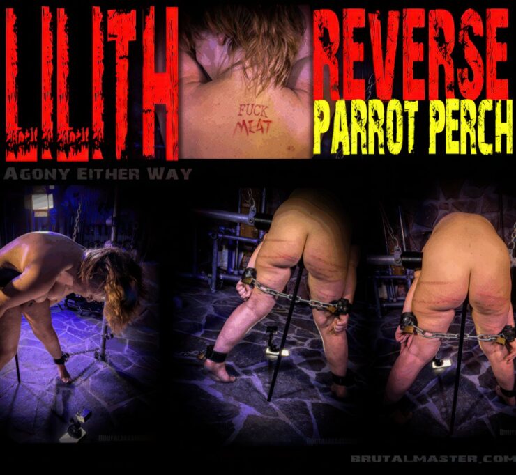 BrutalMaster: Lilith – Reverse Parrot Perch (Release date Sep 25, 2025)