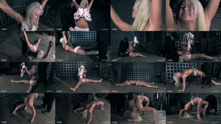 HARDTIED: London River – Perpetual