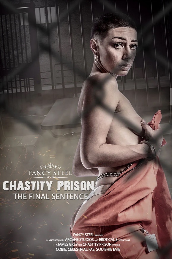 FancySteel: Chastity Prison 5: The Final Sentence